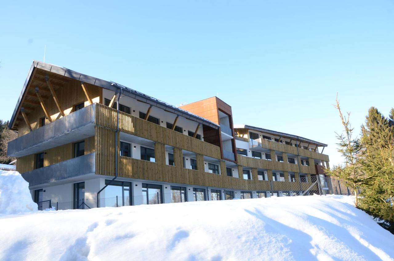 Sumavsky Apartman - Novy Komfortni A Prostorny, Se Zahradou Apartment Stachy Exterior photo